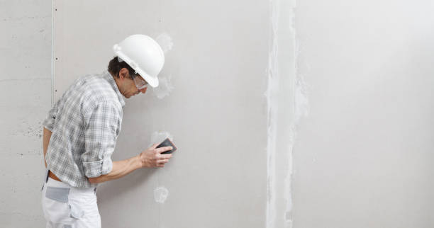 Best Water-Damaged Drywall Repair  in Silver Lake, KS