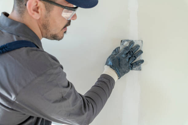 Best Drywall Removal and Disposal  in Silver Lake, KS