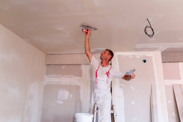 Best Residential Painting  in Silver Lake, KS